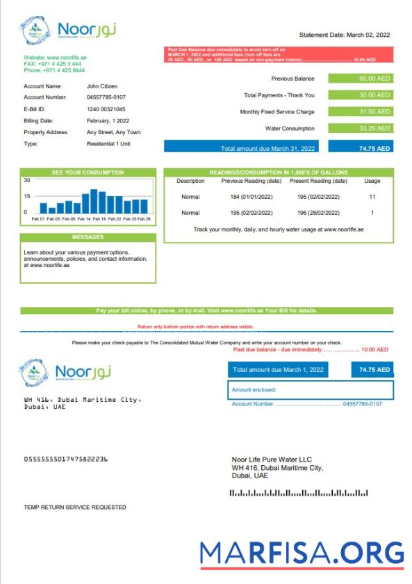 Printable UAE Noor Life Pure Water LLC utility bill template in Word and PDF format
